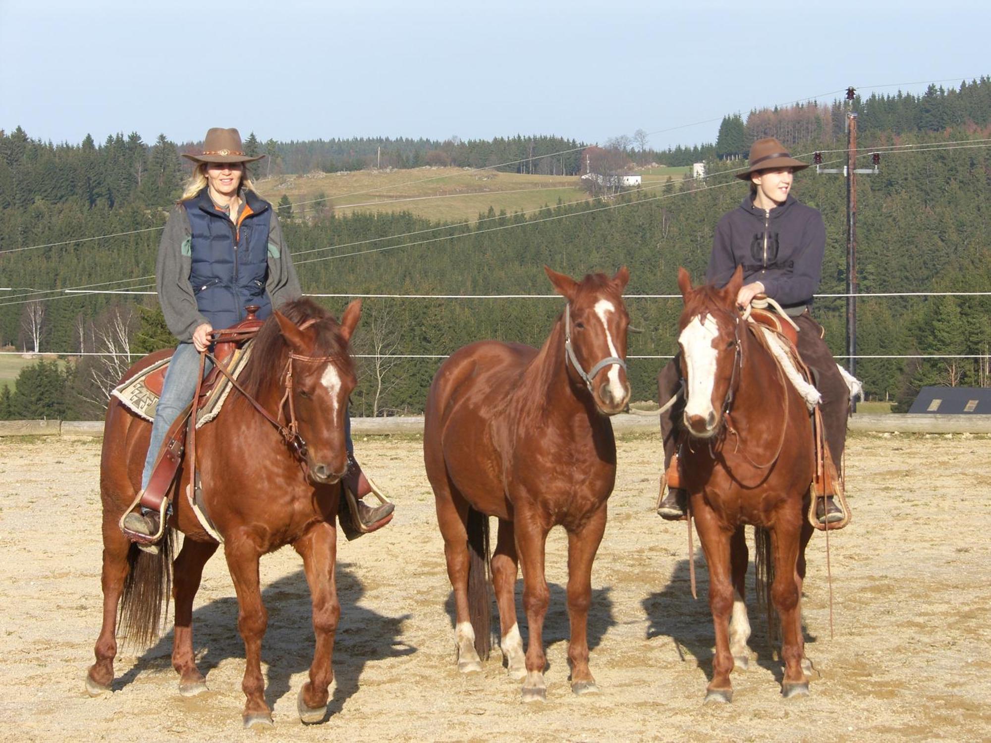 Espi-Stables Ferienhof Esterhammer Liebenau  외부 사진