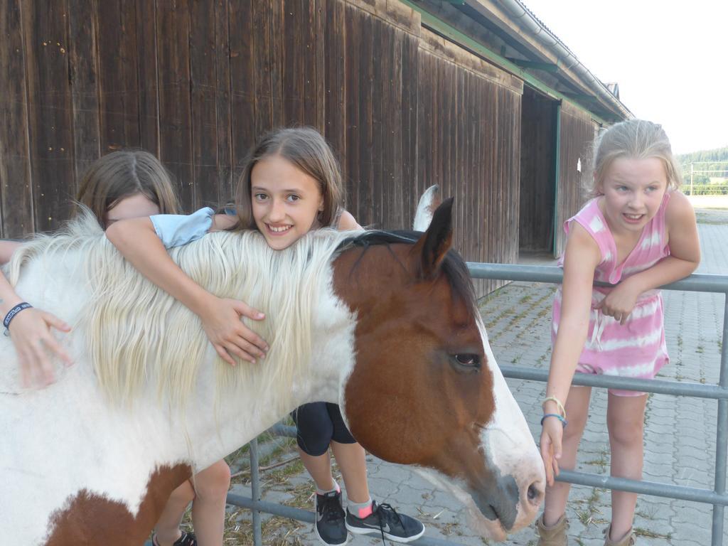 Espi-Stables Ferienhof Esterhammer Liebenau  외부 사진