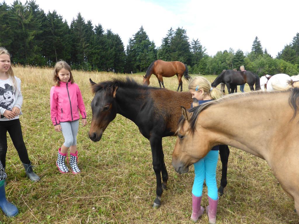 Espi-Stables Ferienhof Esterhammer Liebenau  객실 사진