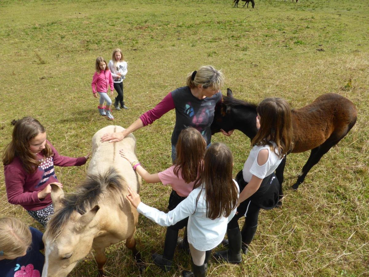 Espi-Stables Ferienhof Esterhammer Liebenau  외부 사진